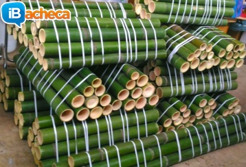 Immagine 1 - Vendo canne di bambù