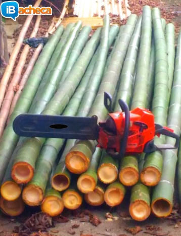 Immagine 4 - Vendo canne di bambù