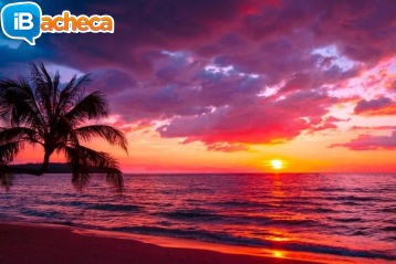 Immagine 1 - Cerco incontri in toscana