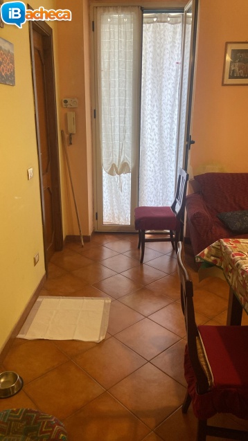 Immagine 5 - Via Esseneto appartamento