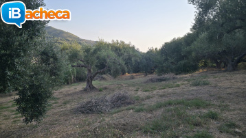 Immagine 2 - 69 terreno e locale