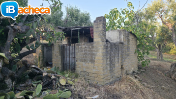 Immagine 5 - 69 terreno e locale