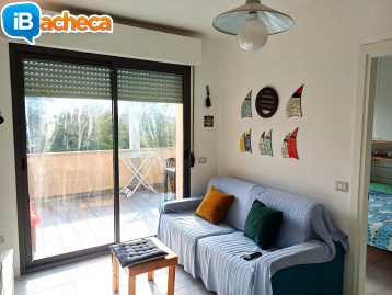 Immagine 3 - Appartamento a Senigallia