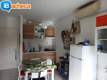 Immagine 4 - Appartamento a Senigallia