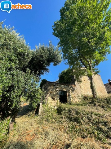 Immagine 1 - 29 Temponi