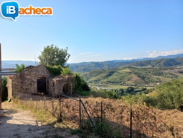 Immagine 2 - 29 Temponi