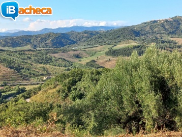 Immagine 3 - 29 Temponi
