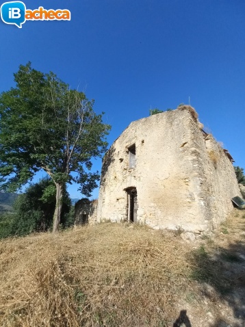 Immagine 4 - 29 Temponi