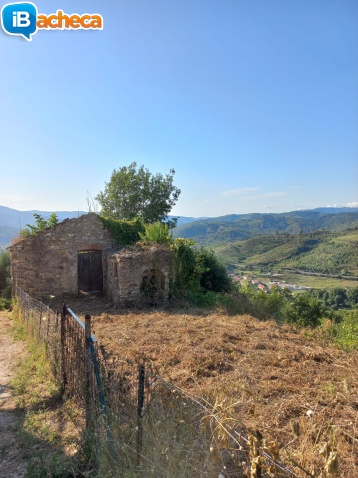 Immagine 5 - 29 Temponi