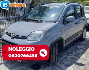 Immagine 1 - Noleggio auto