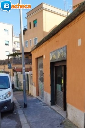 Immagine 1 - Ostia negozio affitto