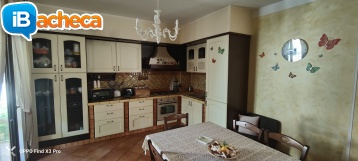 Immagine 3 - 315 villa singola Marina