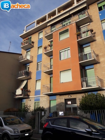 Immagine 4 - 2 Locali in Affori