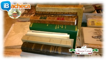 Immagine 4 - Memorial Correale 2024