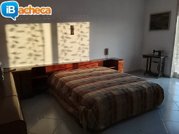 Immagine 4 - Villaggio Mosè ampio