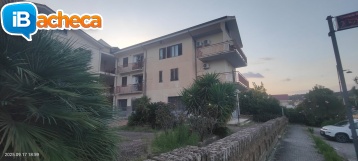 Immagine 1 - 179 Velia