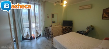 Immagine 2 - 179 Velia