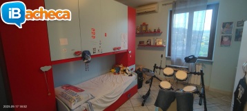 Immagine 3 - 179 Velia