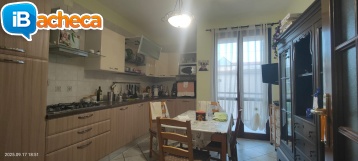 Immagine 4 - 179 Velia