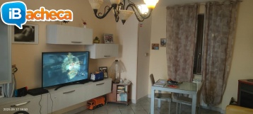 Immagine 5 - 179 Velia