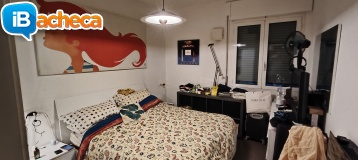 Immagine 2 - Ospito cambio di sex