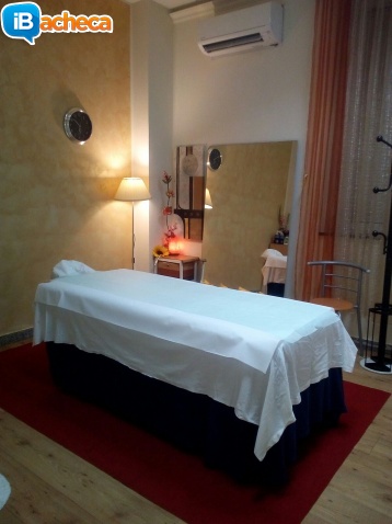 Immagine 3 - Massagiatrice