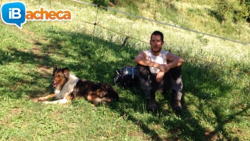 Immagine 1 - Cerco agricolo ciccio