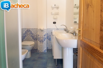 Immagine 4 - 250 App. Ascea