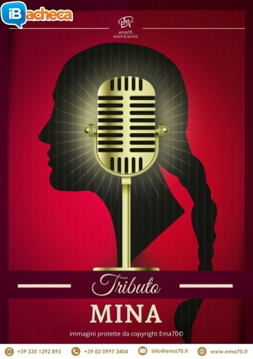 Immagine 5 - Tributo i due lucio
