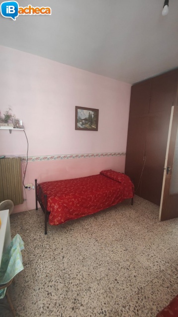 Immagine 3 - 50 Ascea Cap.