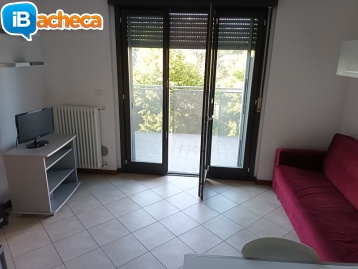 Immagine 3 - 3 locali arredato