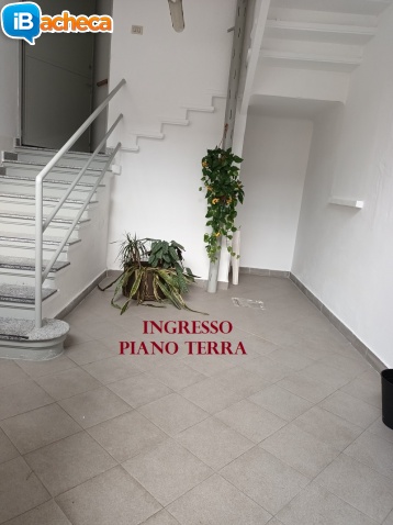 Immagine 1 - Locale Commerciale