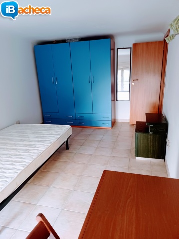 Immagine 4 - Mini appartamentoArredato