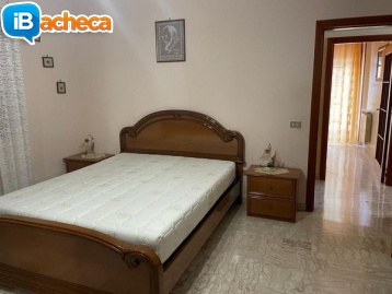 Immagine 5 - 189 Ascea Capoluogo