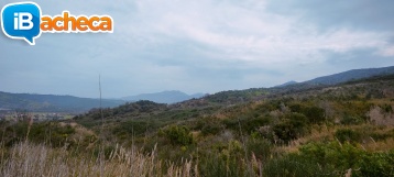 Immagine 2 - 55 terreno agricolo