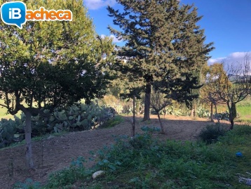 Immagine 1 - Casa colonica e magazzino