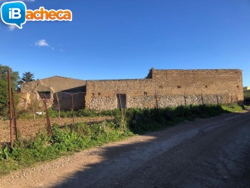 Immagine 2 - Casa colonica e magazzino