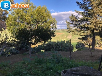 Immagine 3 - Casa colonica e magazzino
