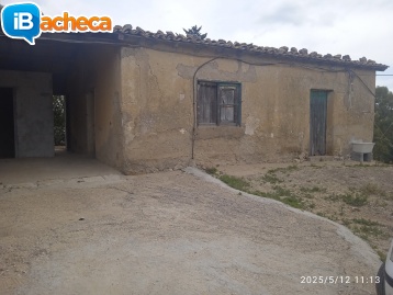 Immagine 4 - Casa colonica e magazzino