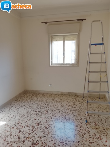 Immagine 4 - Zona Campo Sportivo