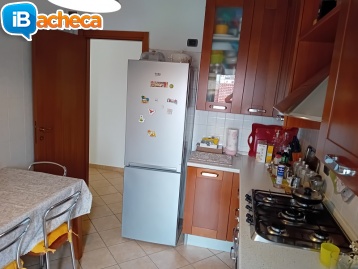 Immagine 1 - 2 Locali libero subitio