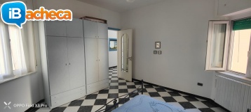 Immagine 4 - 185 P.co Venere