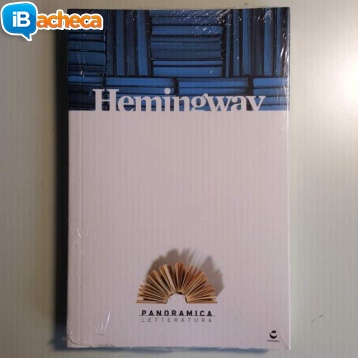 Immagine 1 - Hemingway - Panoramica