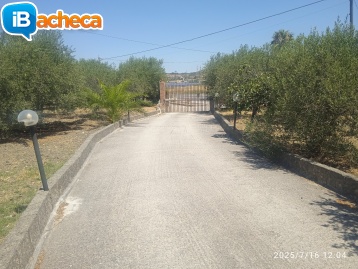 Immagine 3 - San Benedetto casa indip