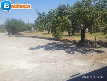 Immagine 4 - San Benedetto casa indip