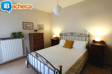 Immagine 2 - Affitto appartamento
