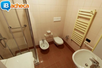 Immagine 3 - Affitto appartamento