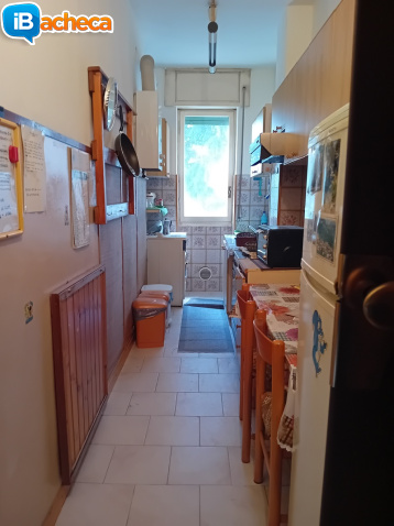 Immagine 1 - Libero 2 locali M3