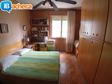 Immagine 3 - Libero 2 locali M3