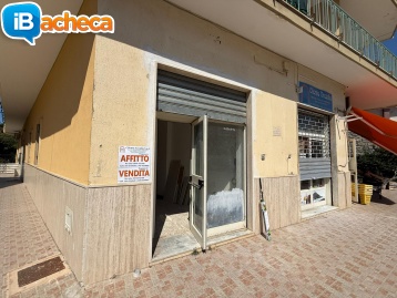 Immagine 1 - 129 Locale